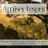 Apaiser l'Esprit - Musique relaxante et calme avec sons de la nature, pour la gestion de l'anxiété - Harmonie Zen