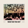 What Did You Do? (feat. Tracee Meyn) - Single