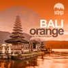 Bali Orange (Music to Chillout & Relax)