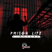 Prison Life artwork