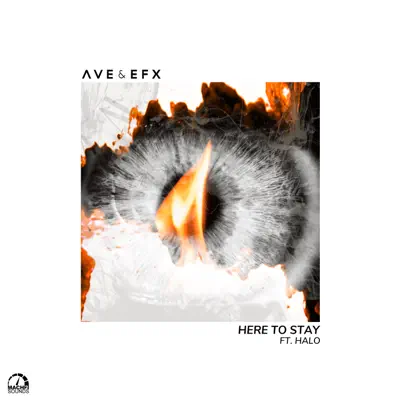 Here to Stay (feat. Halo) - Single - Efx