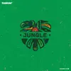 Stream & download Jungle - Single