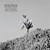 Down to the Bone (An Acoustic Tribute to Depeche Mode) album lyrics, reviews, download