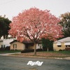 AY AY - what you need (feat. QNTN)