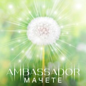 AMBASSADOR artwork