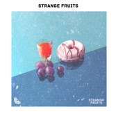 Melhores Eletronicas Strange Fruits 2019 - Top Musicas Eletronicas 2019 artwork