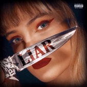 Liar artwork