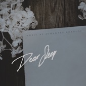 Dear Sleep artwork