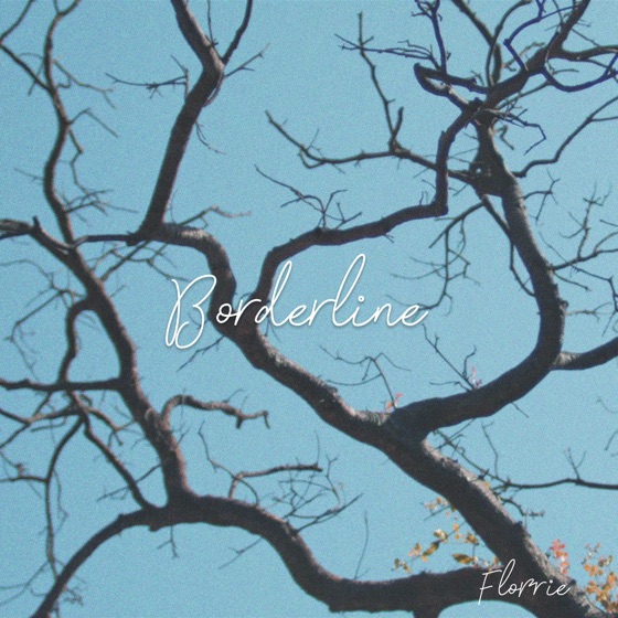 Cover artwork for Borderline