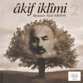 Akif İklimi 2 artwork