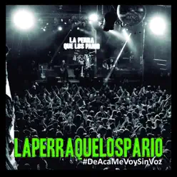 #Deacamevoysinvoz - La Perra que los Parió