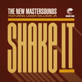 Shake It (feat. Lamar Williams Jr.) [45] artwork