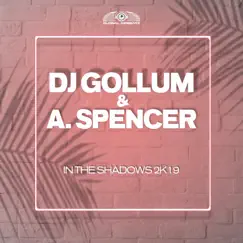 In the Shadows 2k19 by DJ Gollum & A. Spencer album reviews, ratings, credits
