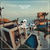 Tech N Funk Ibiza '20 artwork