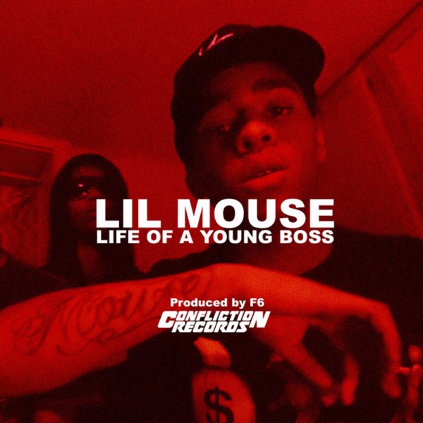 Mouse what it do lil Little Live