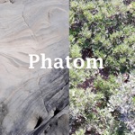 Paul Wilbury - Phatom