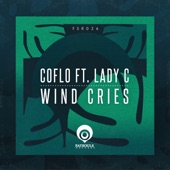 Wind Cries (Deep Mix) artwork