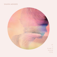 Shawn Mendes - If I Can't Have You artwork