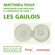 Matthieu Poux - Les Gaulois