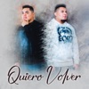 Quiero Volver - Single