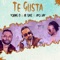 Te Gusta - Young D, Ir-Sais & Ayo Jay lyrics