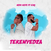 Tekenyedza (feat. ExQ) artwork
