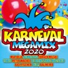 Karneval Megamix 2020, 2019
