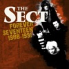 Forever Seventeen 1988-1991