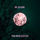 Mr. Autumn - Pink Moon Scottish (feat. Eva Ackerman & Marieke D'hose)