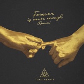 Forever Is Never Enough (Remix) artwork