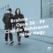 Brahms: Opus 38 & 99 (Sonatas for Piano and Cello) artwork