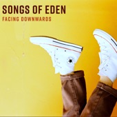 Facing Downwards artwork