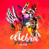 Celebra Sp, Vol. 3 artwork