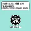 Valley of Darkness (Brain Bashers vs. Lee Pasch) - EP album lyrics, reviews, download