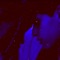 Paranoid: (Slowed + Reverb) - N3ptune lyrics