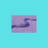 Xevi's Universe - Garden  Snake