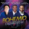 Bohemio en Cuarentena (Remix) - Single album lyrics, reviews, download