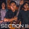 Section III - Mahika