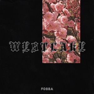 Fossa Beats Never Thought (feat. Trevor Daniel)