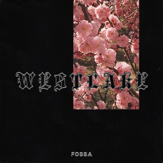 Cover artwork for Westlake Outro