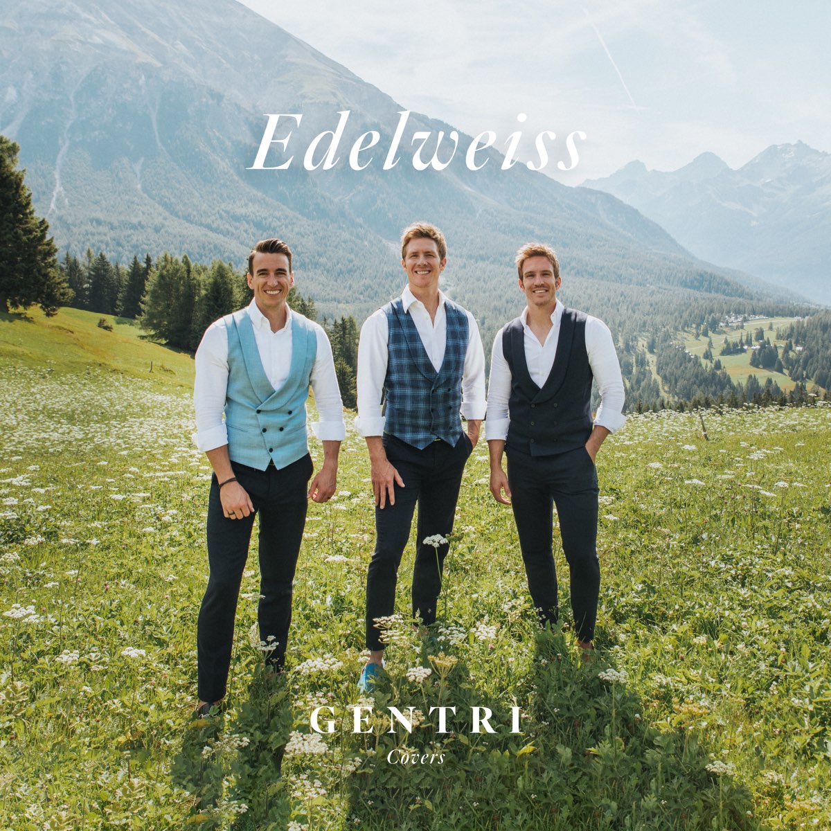 Edelweiss группа. Группа Эдельвейс 1990. Эдельвейс группа 90 Австрия. Состав группы Эдельвейс.
