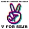 V For Sejr artwork