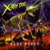 X-Ray Dog - Torched Earth