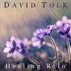 Healing Rain - Single