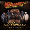 Los Huracanes del Norte - Rosa De Castilla
