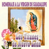 Regalo de Reyes artwork