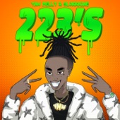 223's (feat. 9lokknine) artwork