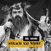 Strach XXI Wieku artwork