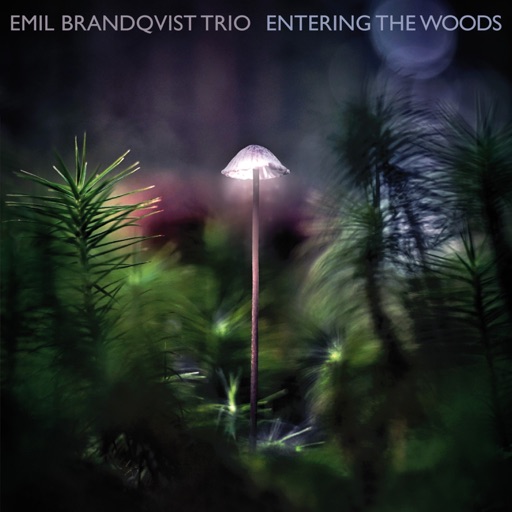 Album artwork