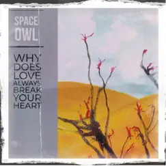 Why Does Love Always Break Your Heart (feat. John Ewing, Ari Joshua, Bob Lovelace & David Appelbaum) - Single by Space Owl album reviews, ratings, credits